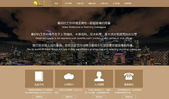 郑州网站建设案例