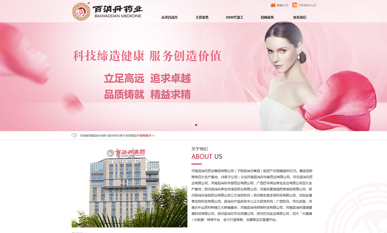  郑州网站建设医药行业网站案例