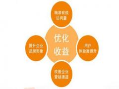 SEO优化仍是最好的网站推广方式